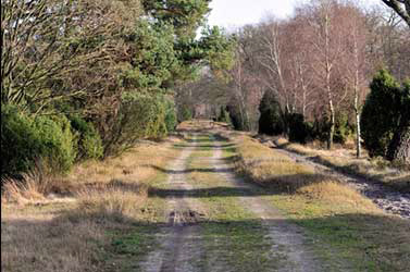 Heideweg
